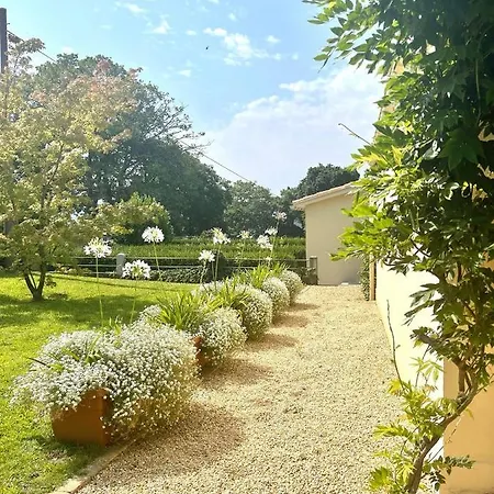 Vakantiehuis Casa Da Pipa *