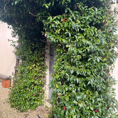 Casa Da Pipa Vakantiehuis *
