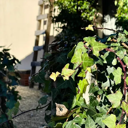 Vakantiehuis Casa Da Pipa *