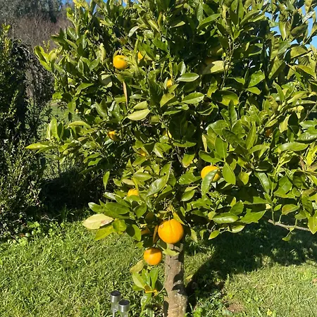 La Casa Da Pipa Nyaraló Cesuras