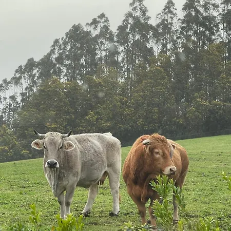 Holiday home La Casa Da Pipa *