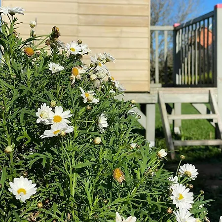 La Casa Da Pipa * Cesuras