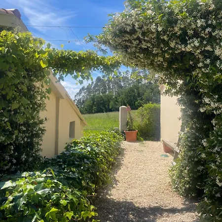 La Casa Da Pipa Casa vacanze Cesuras
