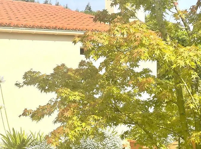 펜션 La Casa Da Pipa *