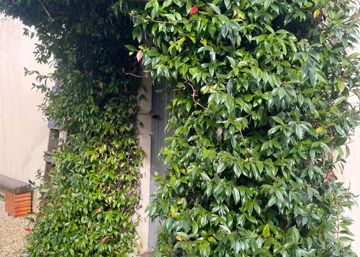 La Casa Da Pipa 펜션 *