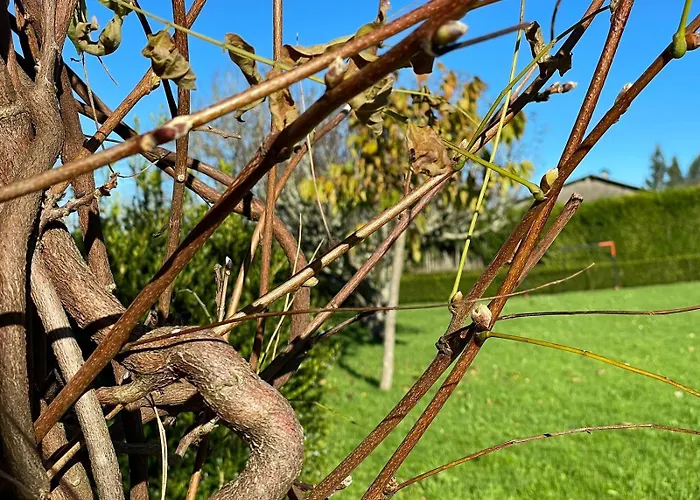 펜션 La Casa Da Pipa Cesuras