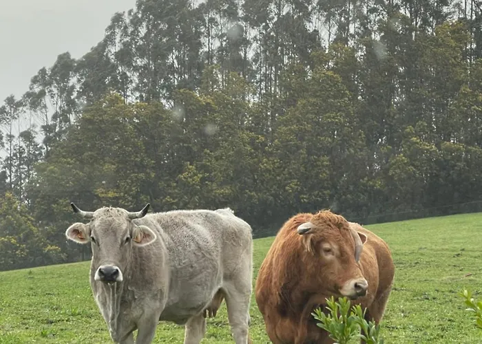 펜션 La Casa Da Pipa *