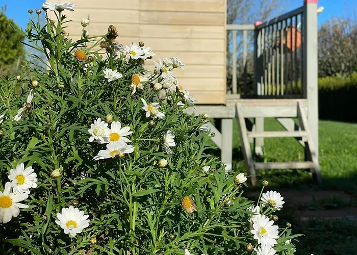 La Casa Da Pipa * Cesuras